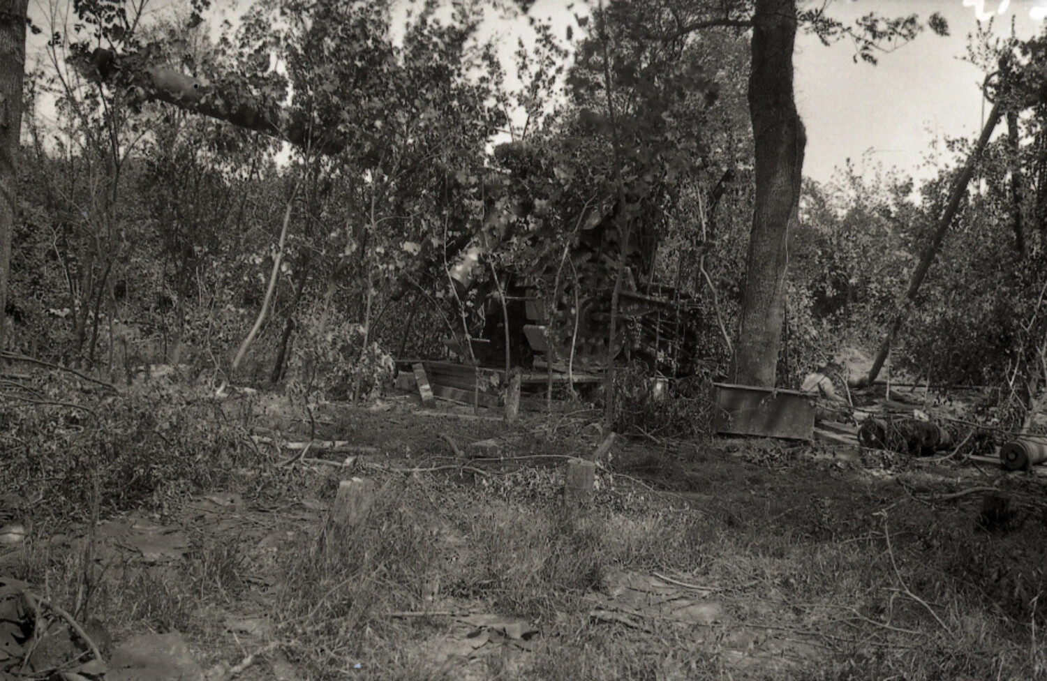 Camouflaged Heavy Artillery Piece in Wooded Emplacement, WWI German Front