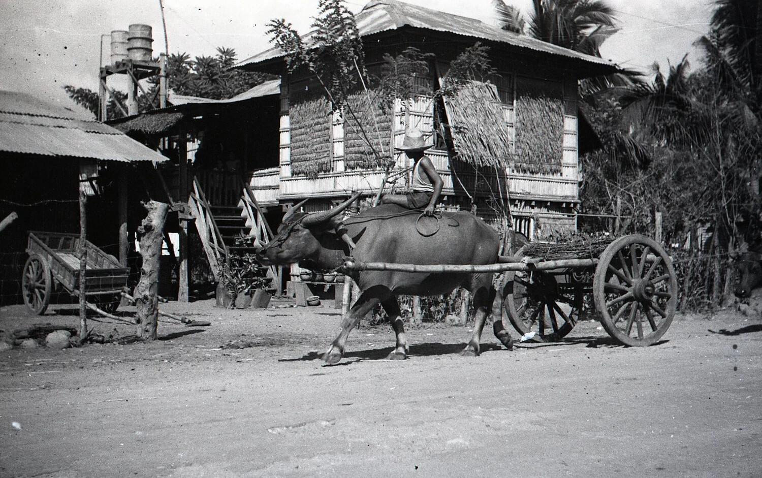 Filipino Boy Riding a Carabao Pulling a Wooden Cart, Rural Luzon, Philippines, WWII Era