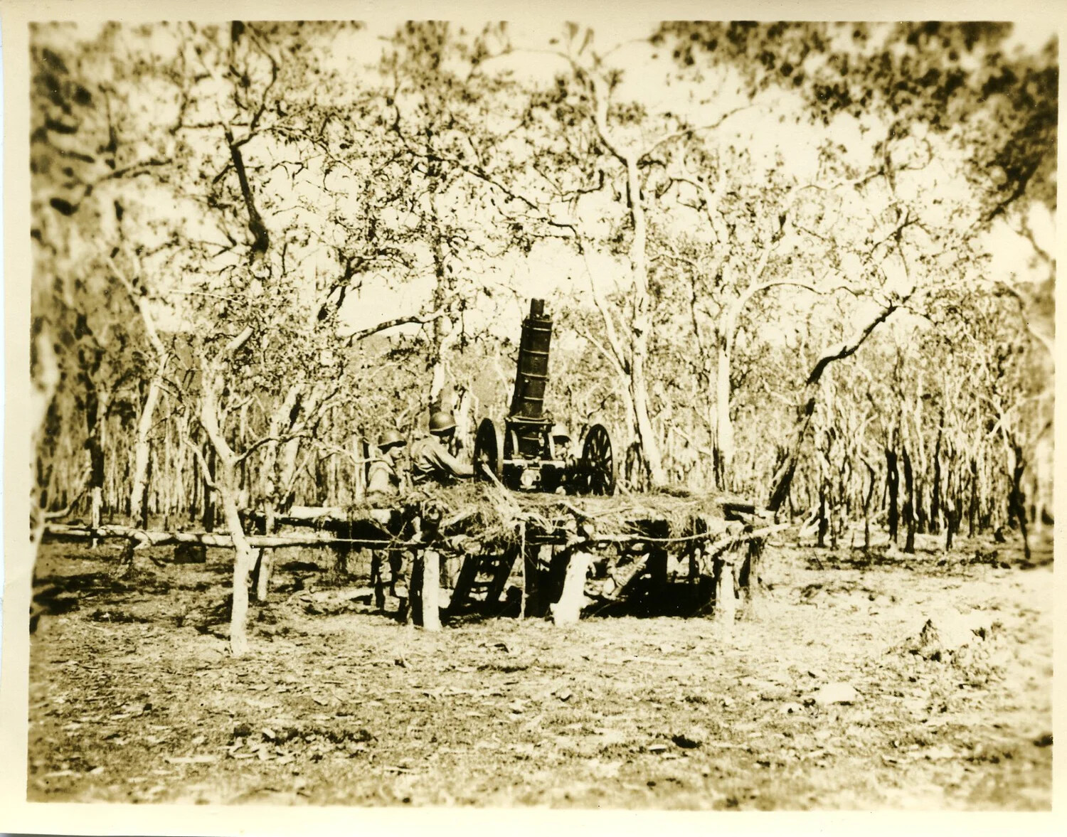 75mm Pack Howitzer in Camouflaged Emplacement Among Trees