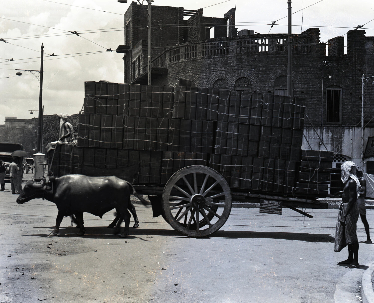 Water Buffalo Cart Hauling Crated Goods Past a Curved Brick Building, China-Burma-India Theater, WWII Era