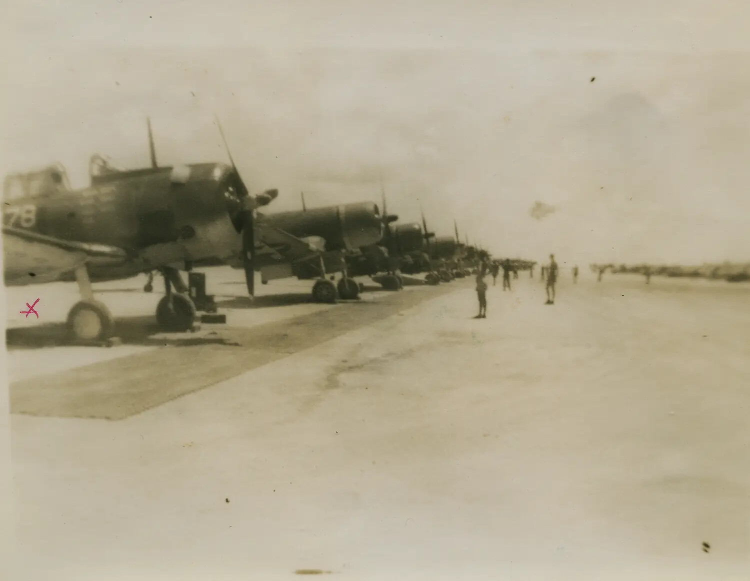 Row of SBD Dauntless Dive Bombers on Flight Line, WWII Pacific Theater
