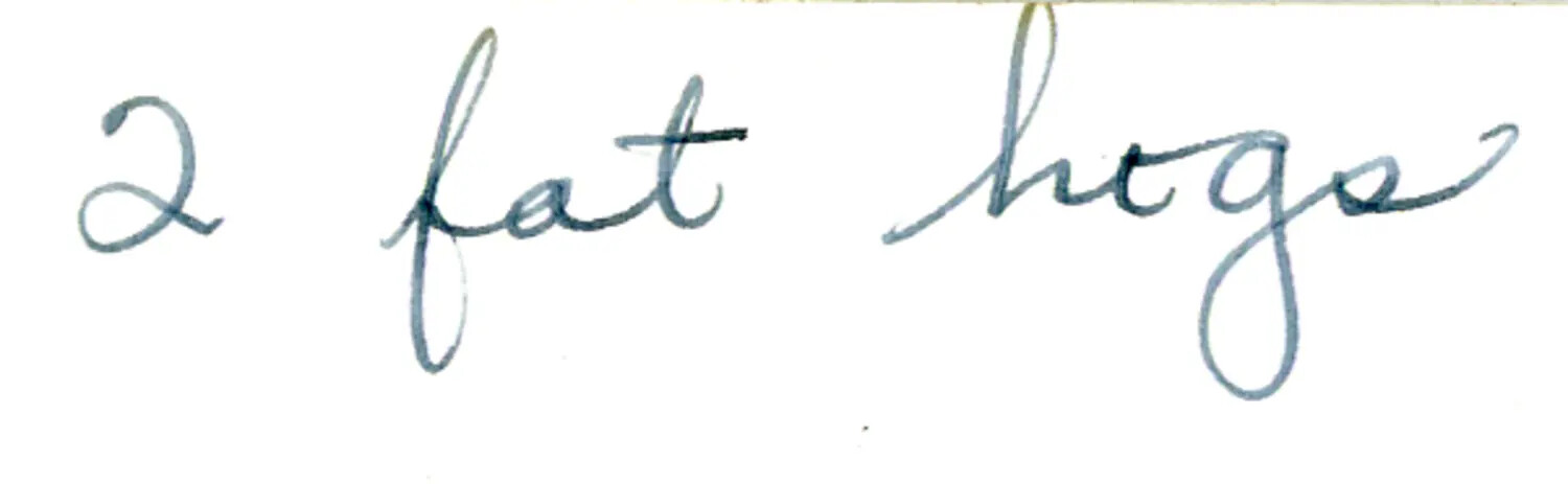 Handwritten Caption Fragment, "2 fat hogs," China-Burma-India Theater Photo Archive