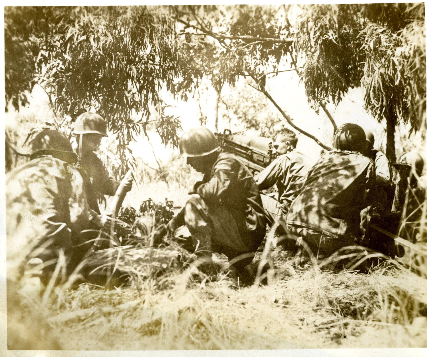 Gun Crew in Camouflaged Position Beneath Tree Cover