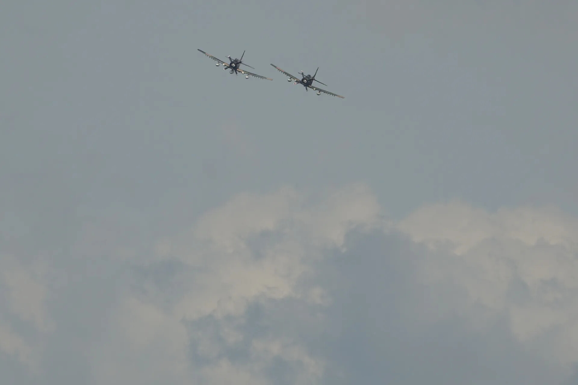 Two Douglas A-1 Skyraiders in Formation Flight, Air Show Demonstration