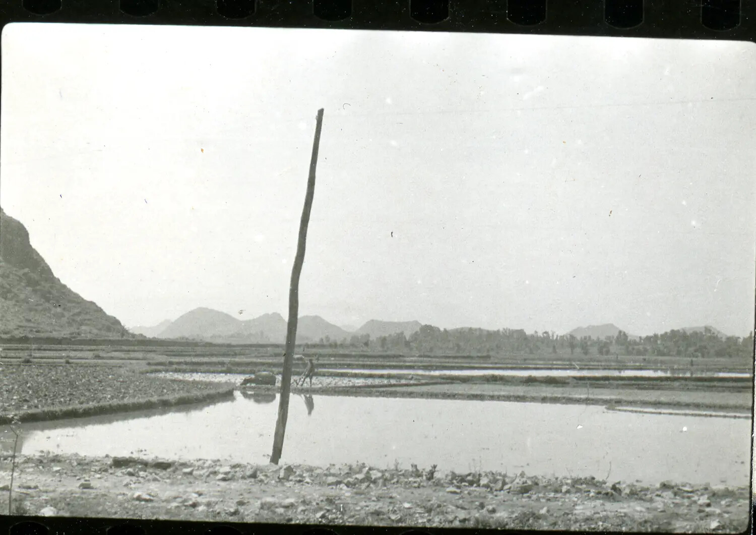 Rice Paddy Landscape with Mountains, China Burma India Theater, WWII