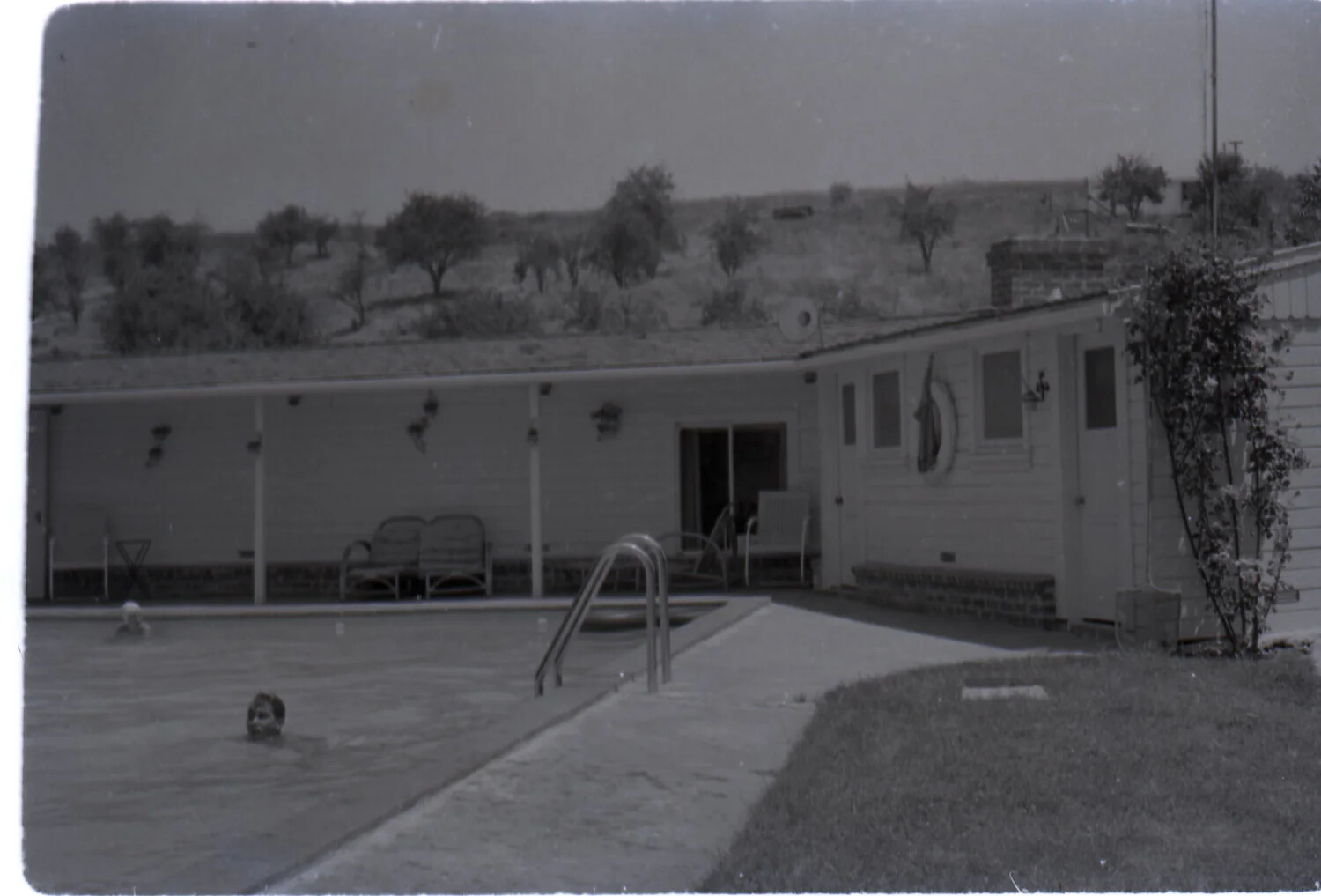 Backyard Swimming Pool, Castro Valley, California, 1954