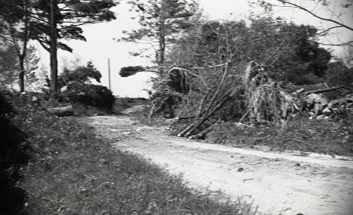 Storm Debris Along Rural Road, Nashua, New Hampshire, September 1938
