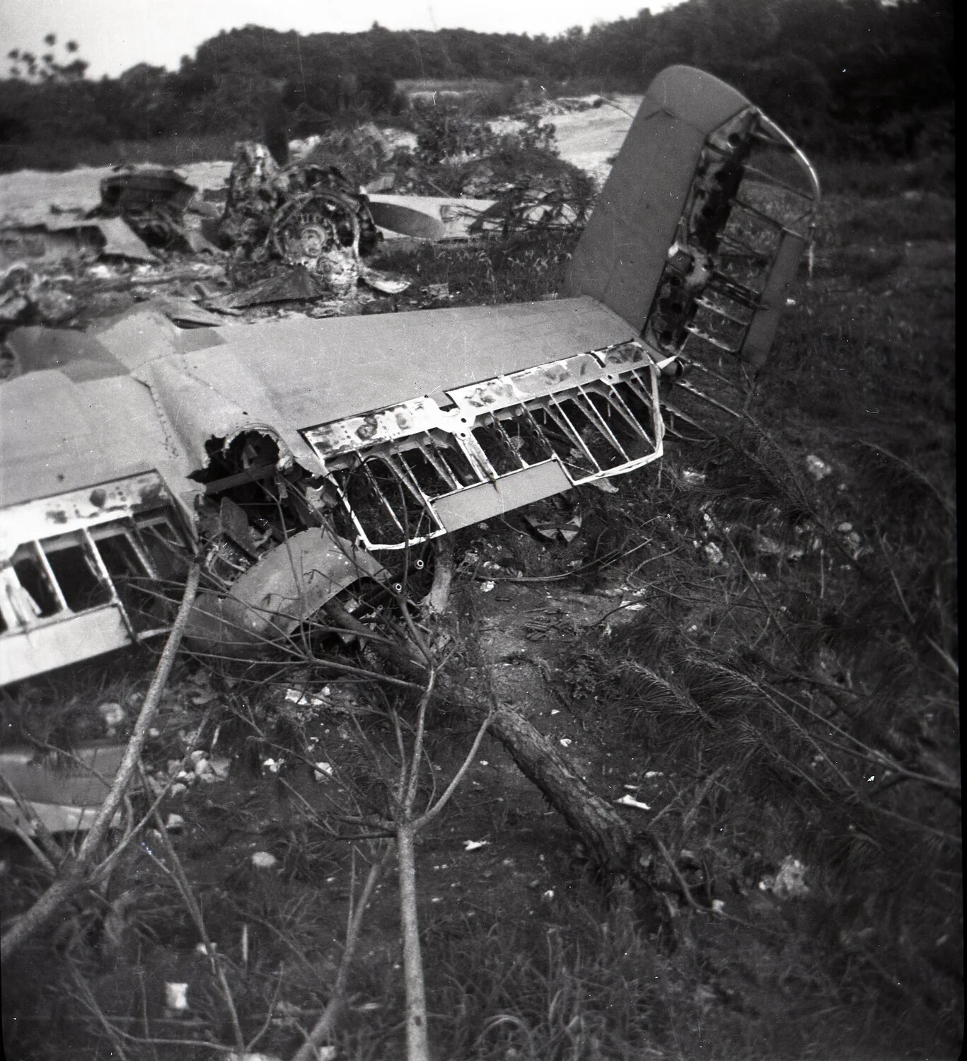 Wreckage of Destroyed Aircraft in Field, Ie Shima, WWII Pacific Theater