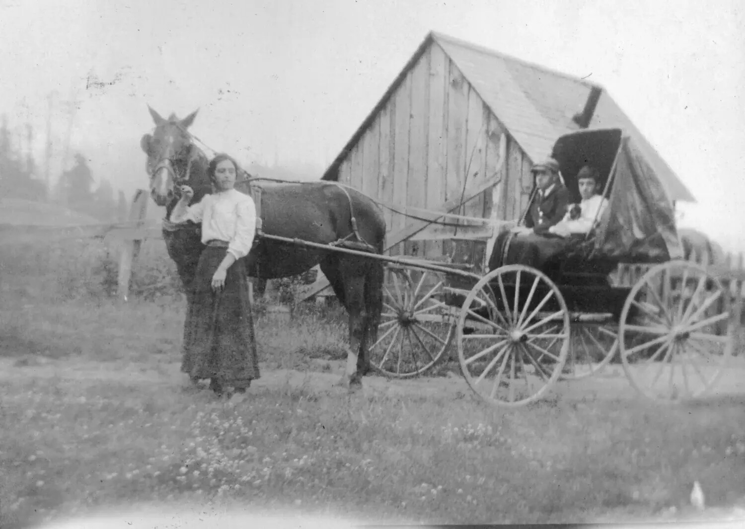 Woman with Horse and Buggy Before a Farm Outbuilding