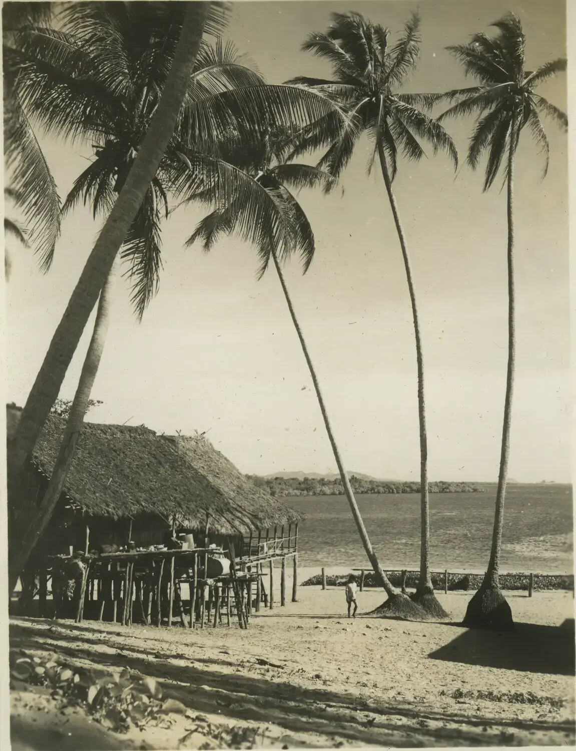 Tropical Beach Scene with Palm Trees and Thatched Hut, Pacific Theater