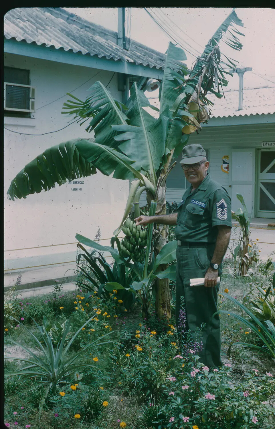 USAF Chief Master Sergeant with Banana Tree, Southeast Asia Air Base