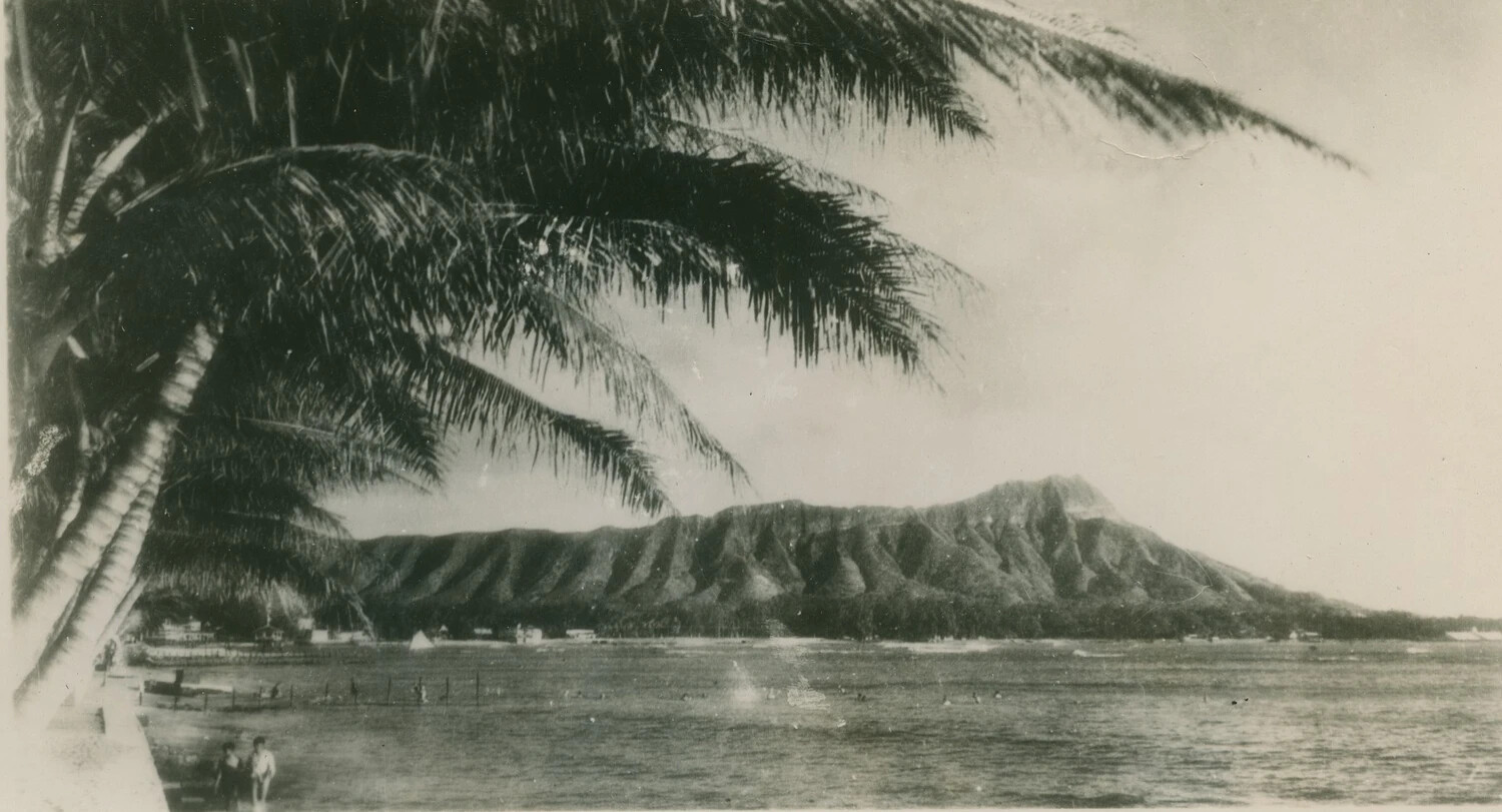 Coastal View with Palm Tree and Volcanic Headland, Likely Diamond Head, Oahu, Hawaii