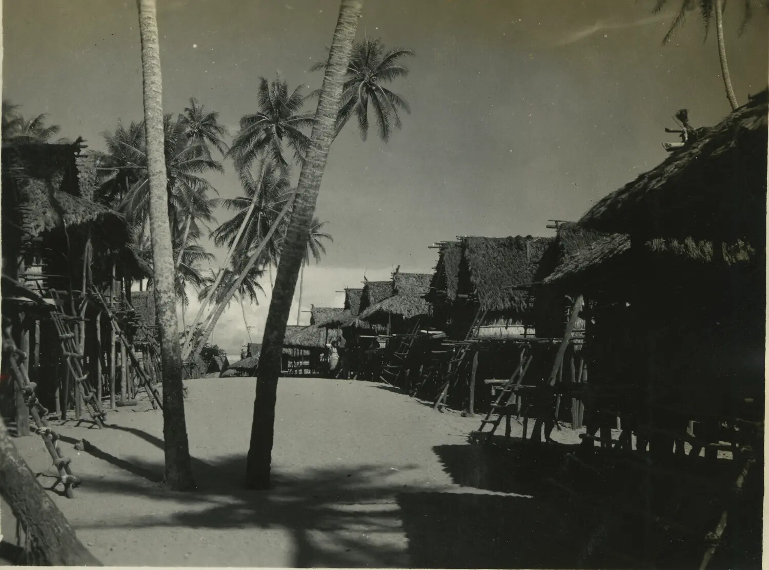 Village Street Lined with Thatched Stilt Houses, Pacific Islands