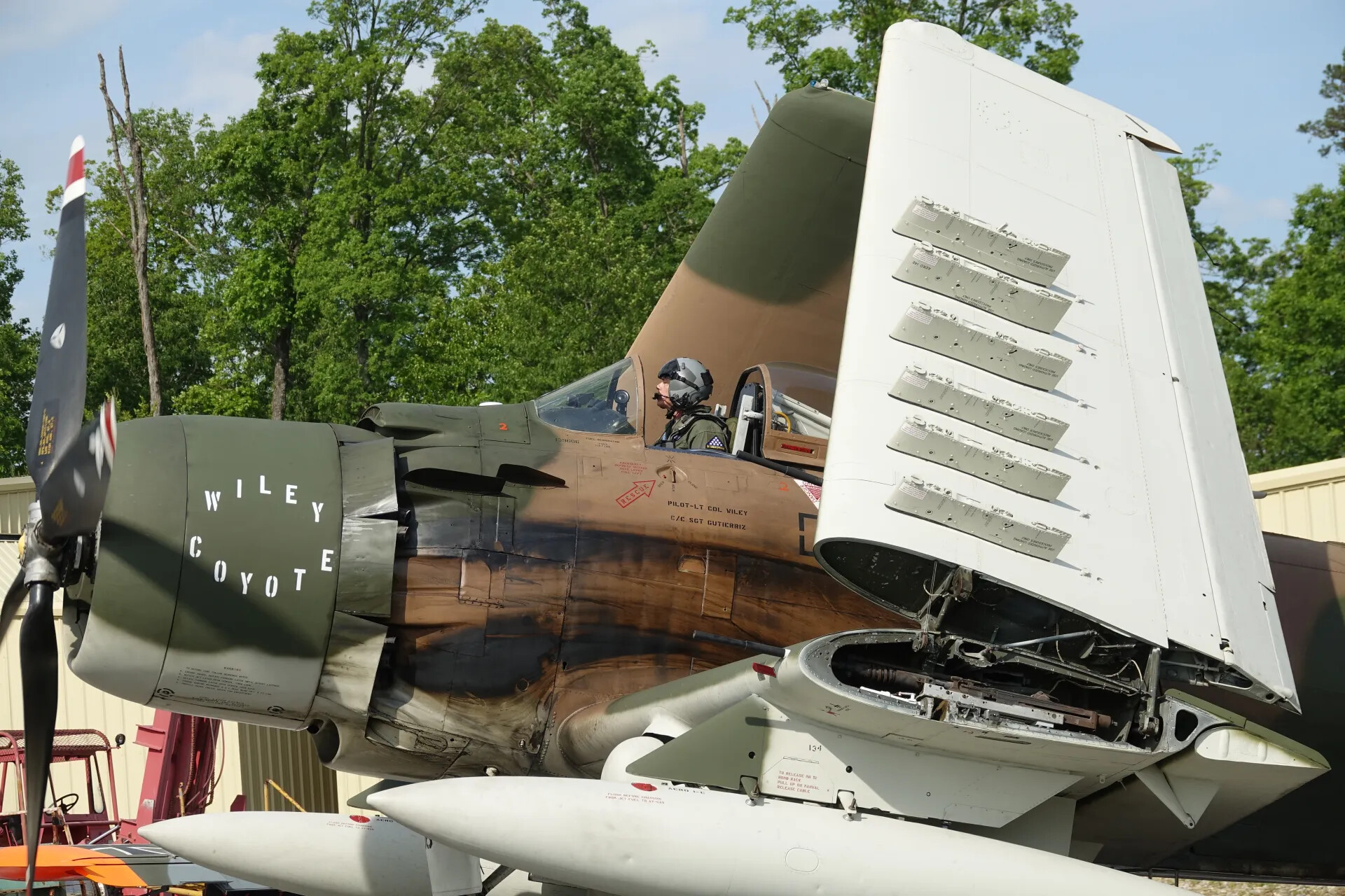 Restored Douglas A-1 Skyraider 'Wiley Coyote' -- Cockpit and Folded Wing Detail, 2019 Airshow Display