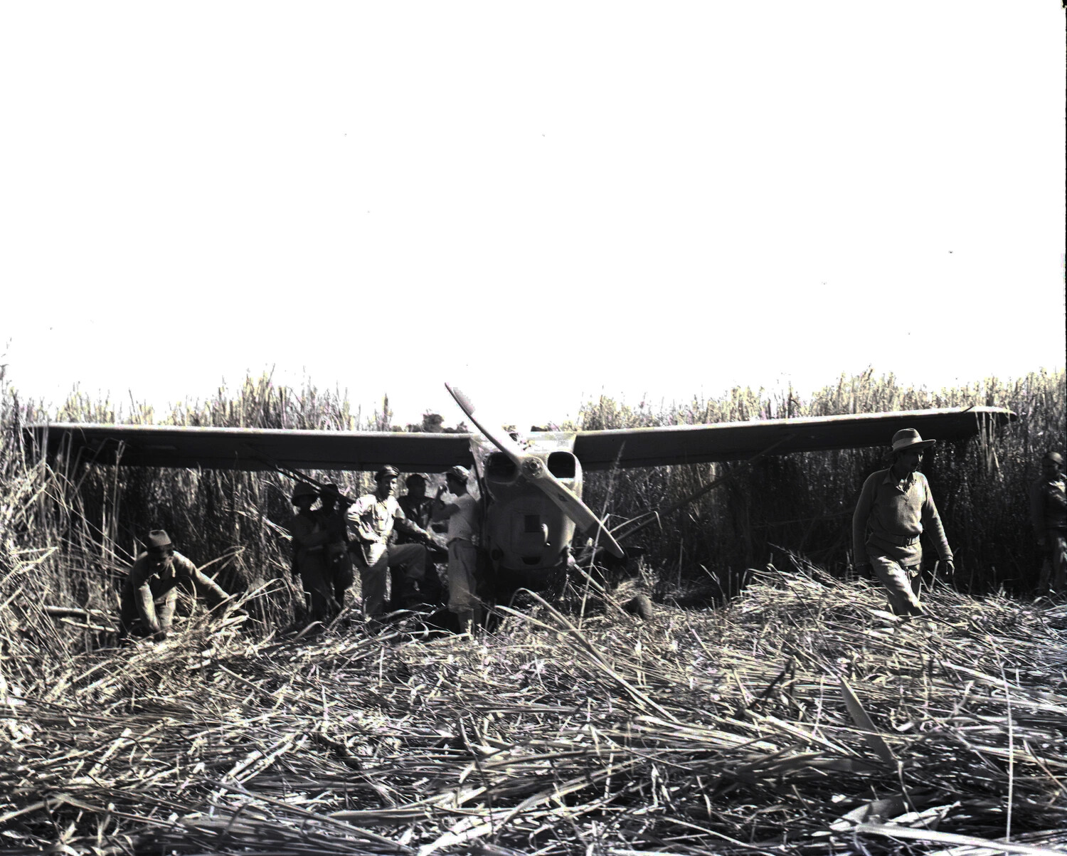 Stinson L-5 Sentinel Liaison Aircraft in Tall Grass, China-Burma-India Theater, WWII