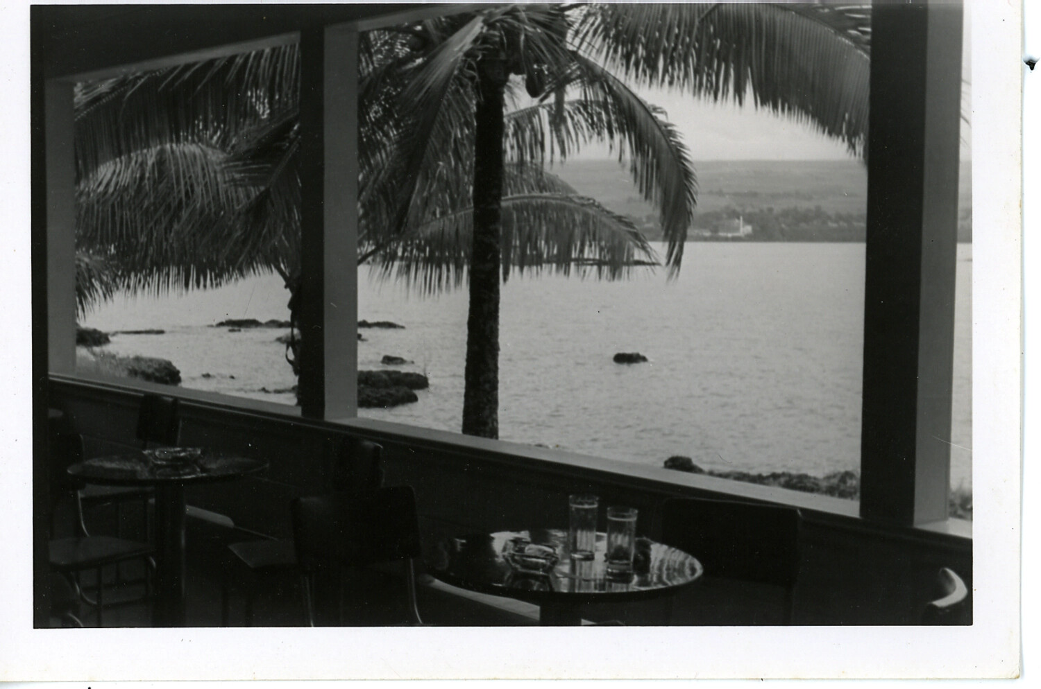 View from Waterfront Restaurant Lanai with Palm Tree and Bay, Hawaii