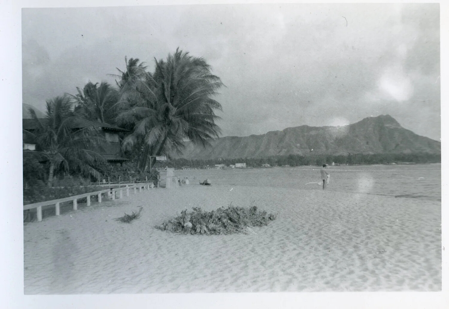 Waikiki Beach and Diamond Head, Oahu, Hawaii, with Beachfront Cottage and Seaweed Pile