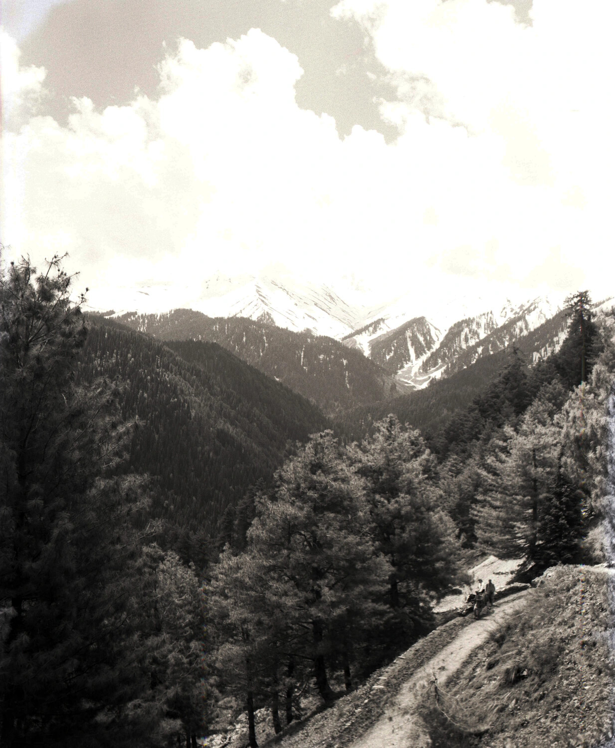 Himalayan Foothill Landscape — CBI Theater, Burma-India Border Region, 1944-45