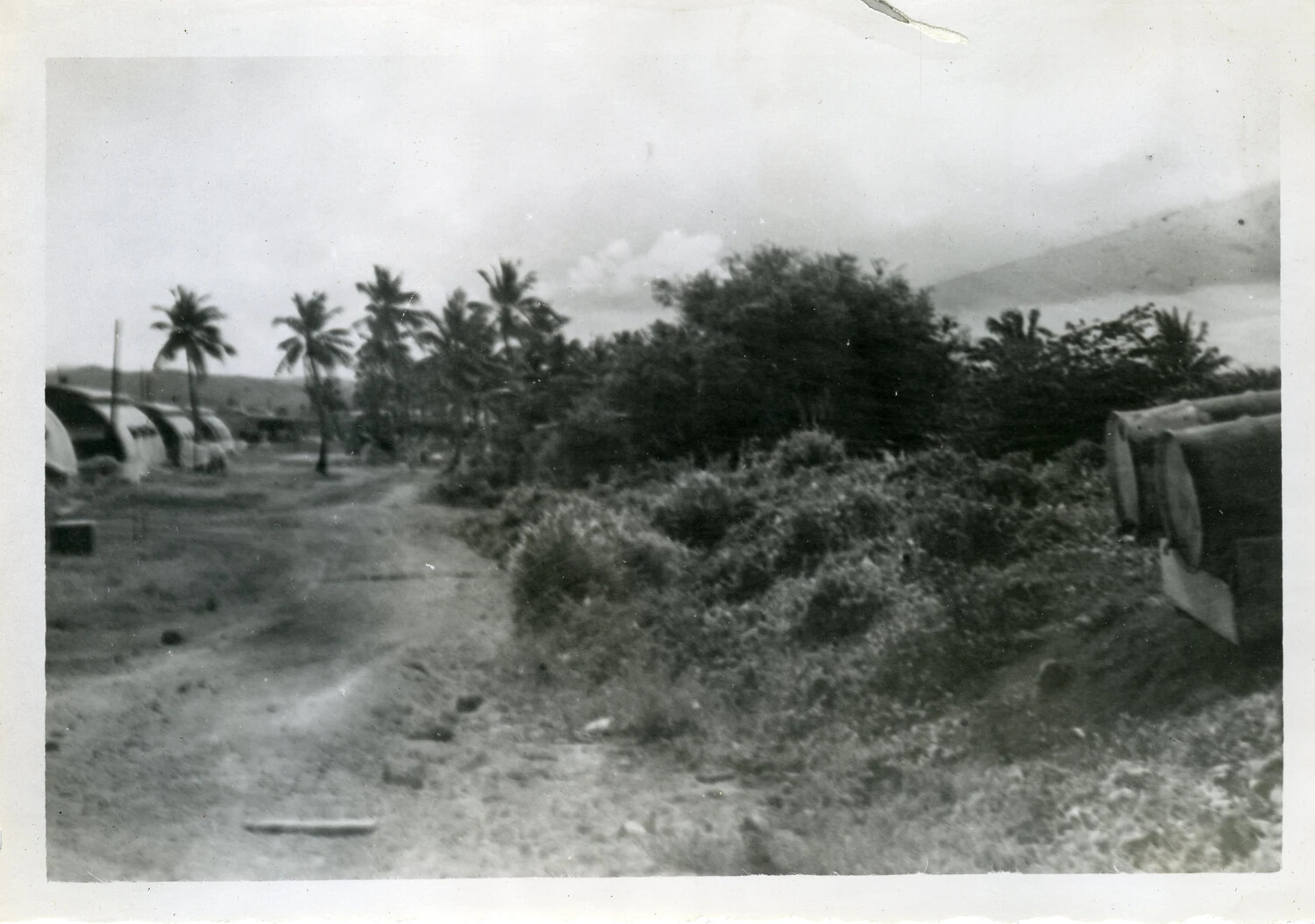 Base Camp Road with Quonset Huts and Palm Trees, NATS Squadron VR-6, Agana, Guam