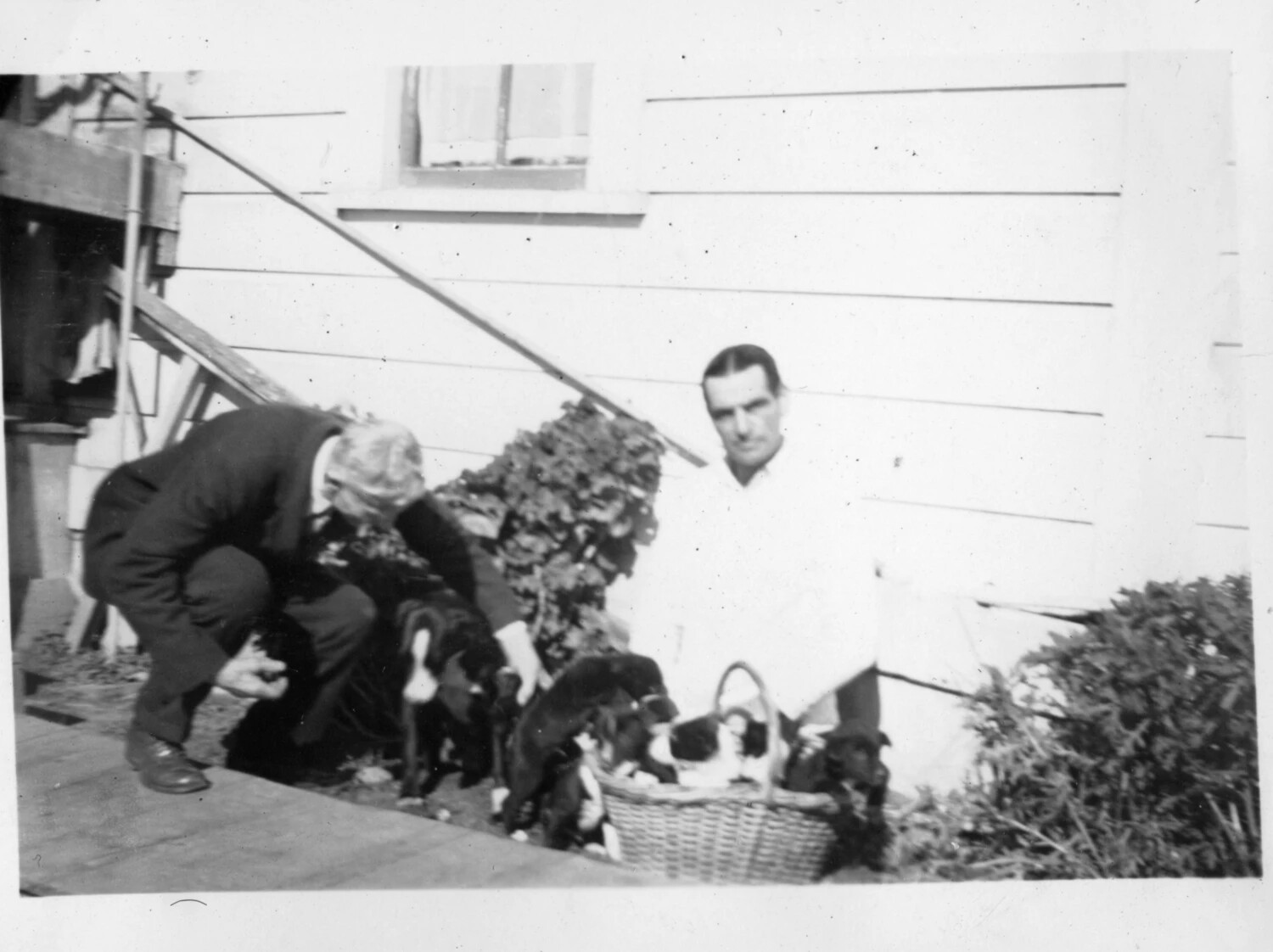 Two Men with a Basket of Puppies and a Kitten, Presidio Residence