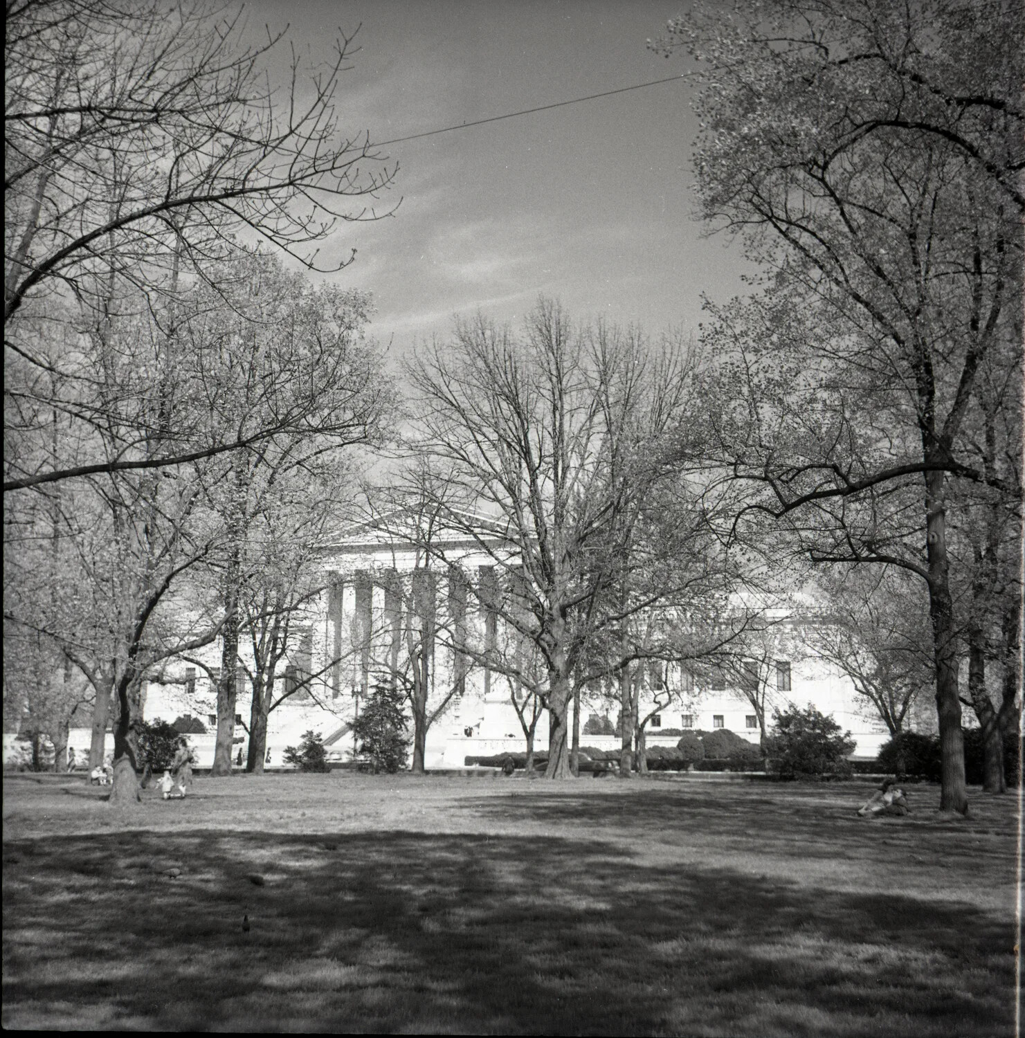 Park Lawn View of a Neoclassical Federal Building, Washington, D.C.