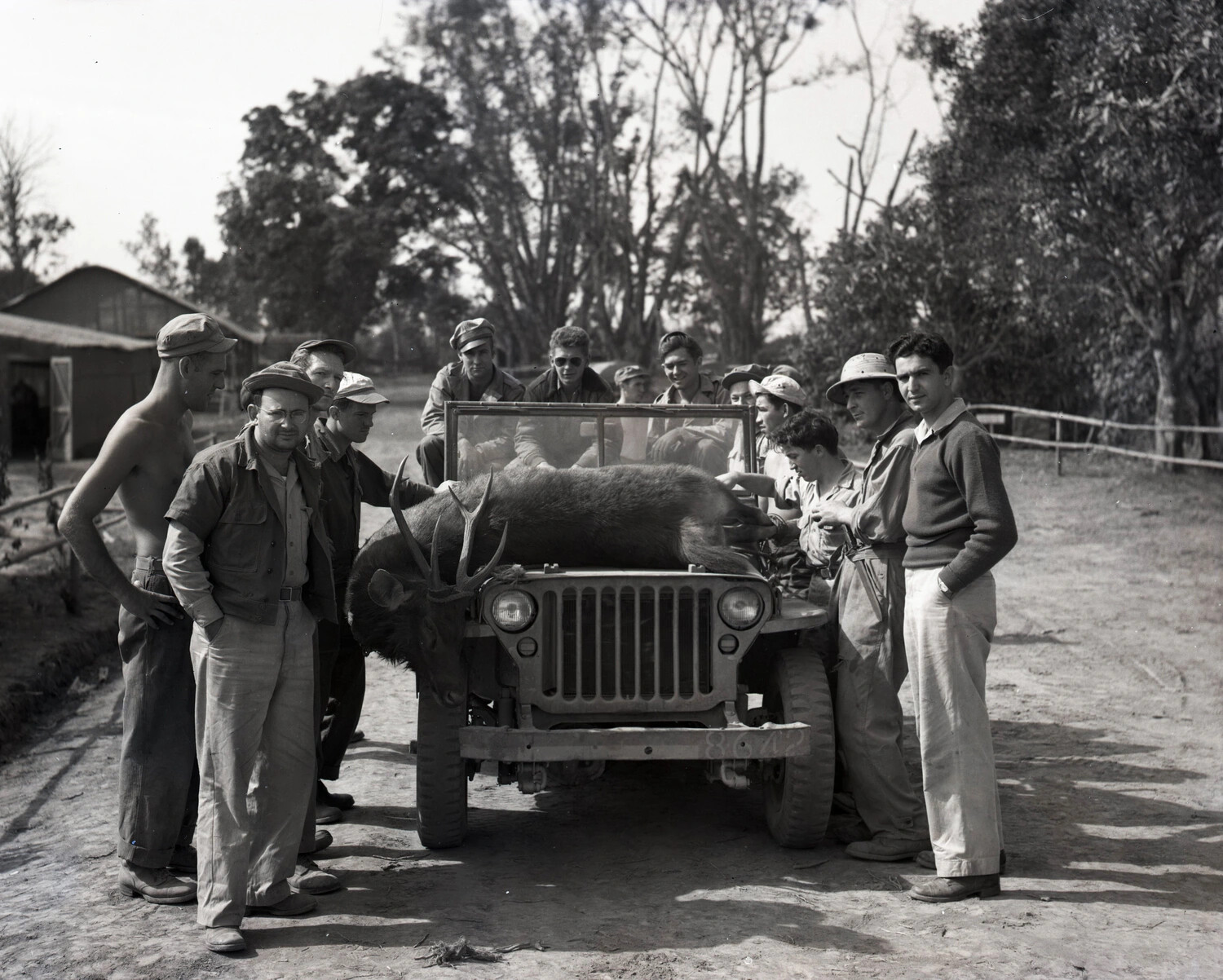American Servicemen Pose with Hunting Trophy Deer on Jeep, China-Burma-India Theater, WWII