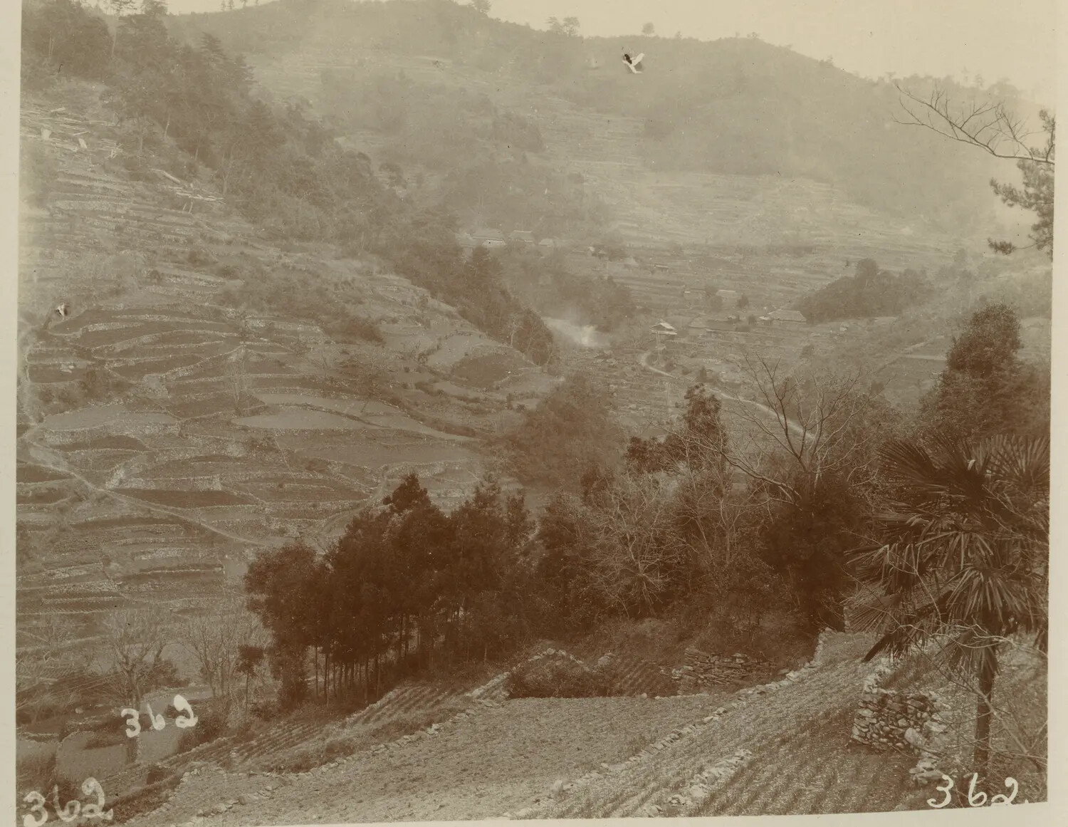 Terraced Mountain Valley with Village and Rice Terraces, Cordillera Region, Philippines