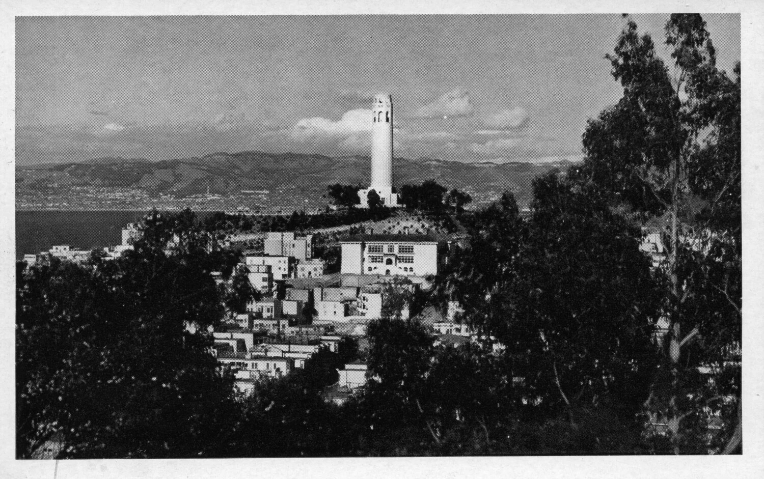 Coit Tower and Telegraph Hill, San Francisco, California - Real Photo Postcard, JC Bardell Collection