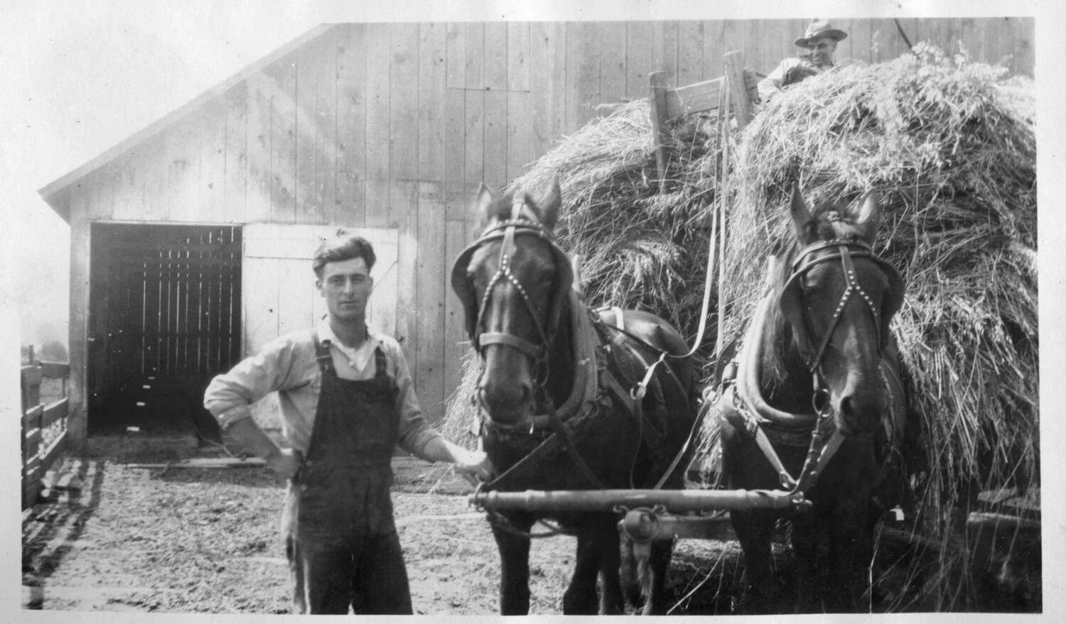 Farmhand with Draft Horse Team and Loaded Hay Wagon at Barn, c. 1910s–1920s