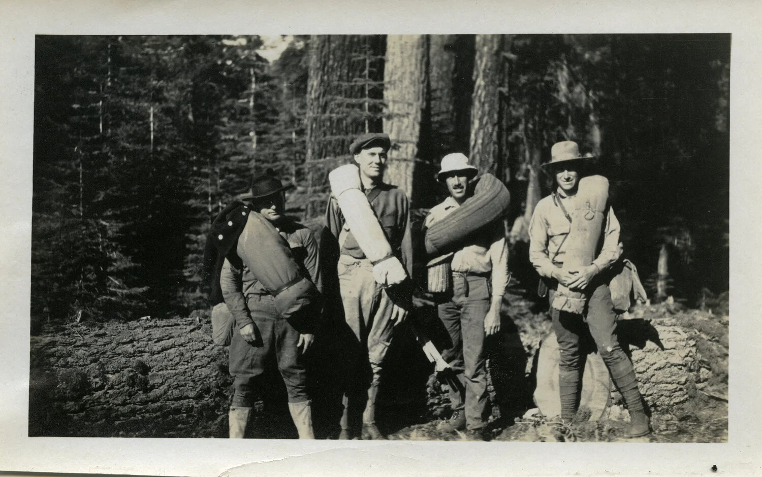 Four Men with Bedrolls in Old-Growth Forest, Willis Wagener Photo Album, 1921