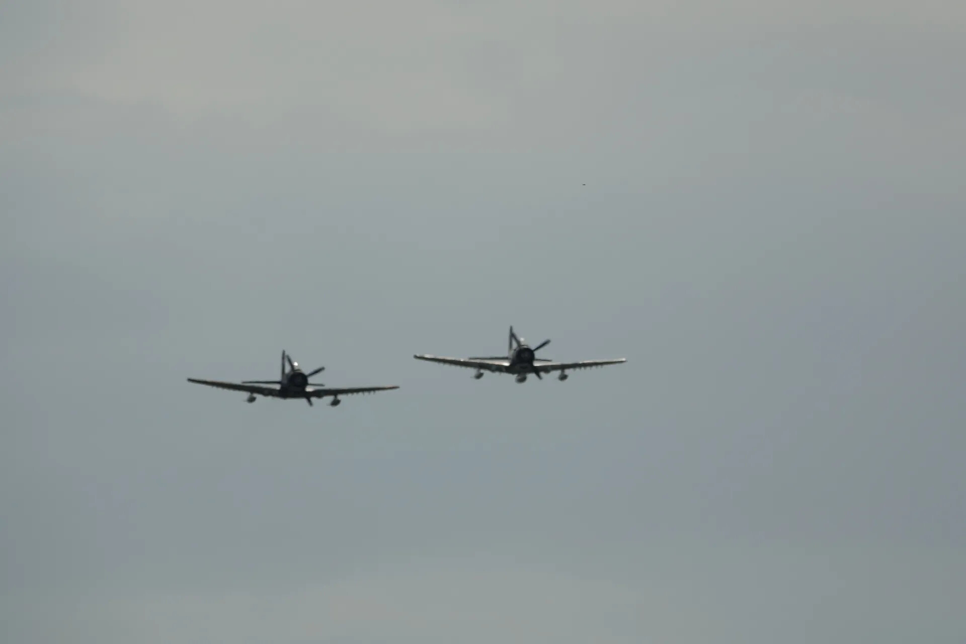 Two A-1 Skyraiders on Landing Approach, May 2019 Reunion Event