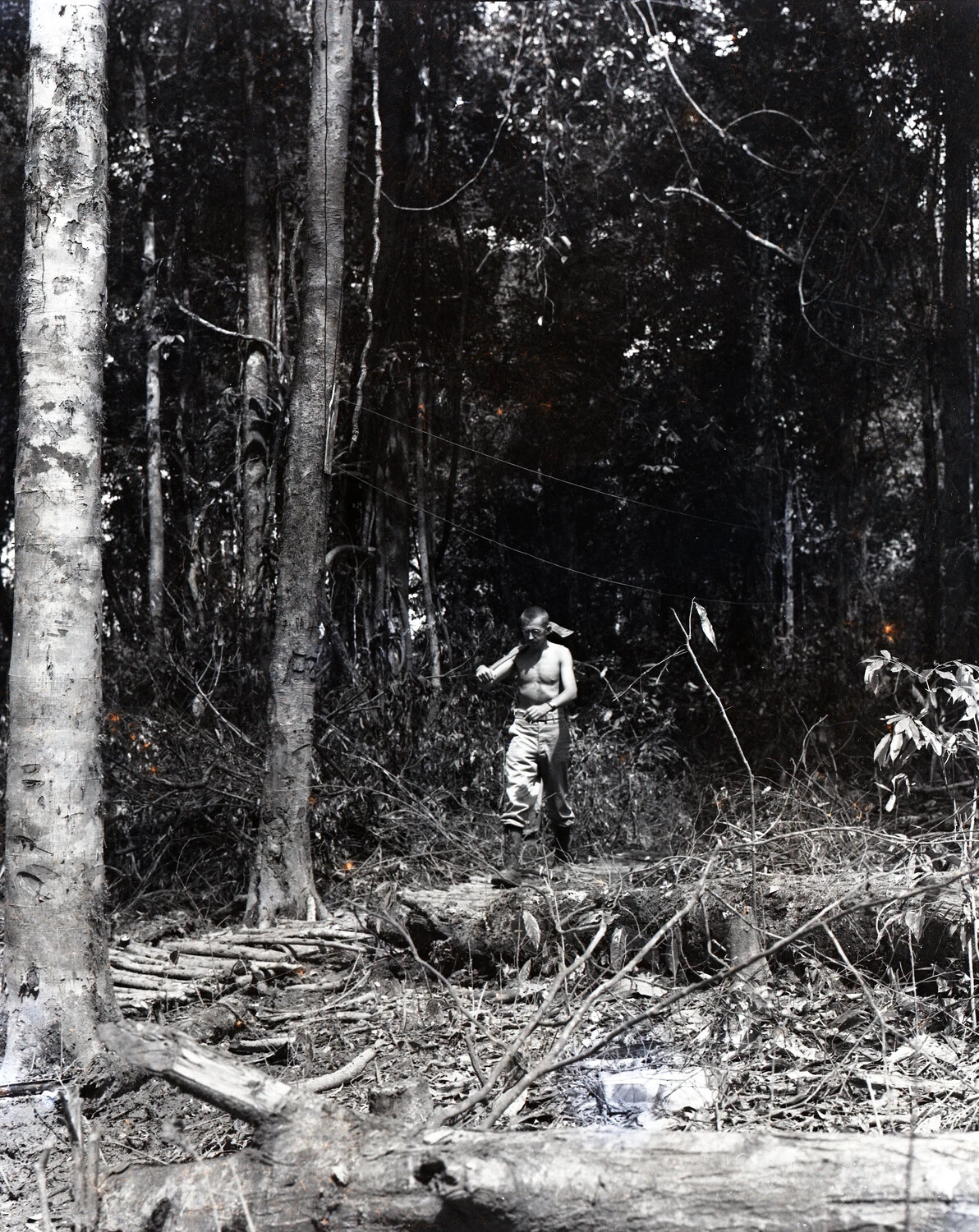 Serviceman Clearing Jungle Terrain, China-Burma-India Theater, WWII