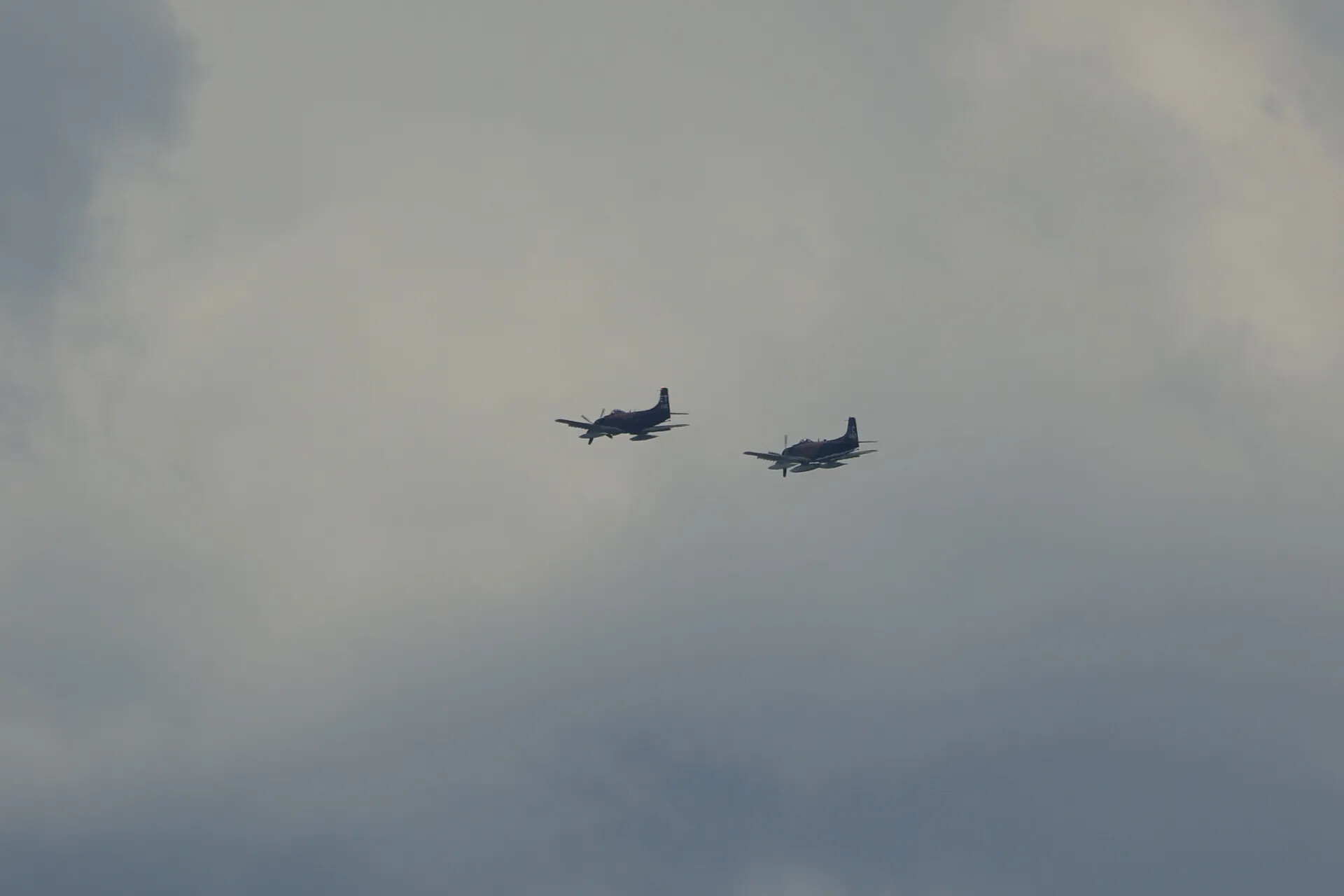 Two A-1 Skyraider Warbirds in Formation Flight Under Overcast Sky