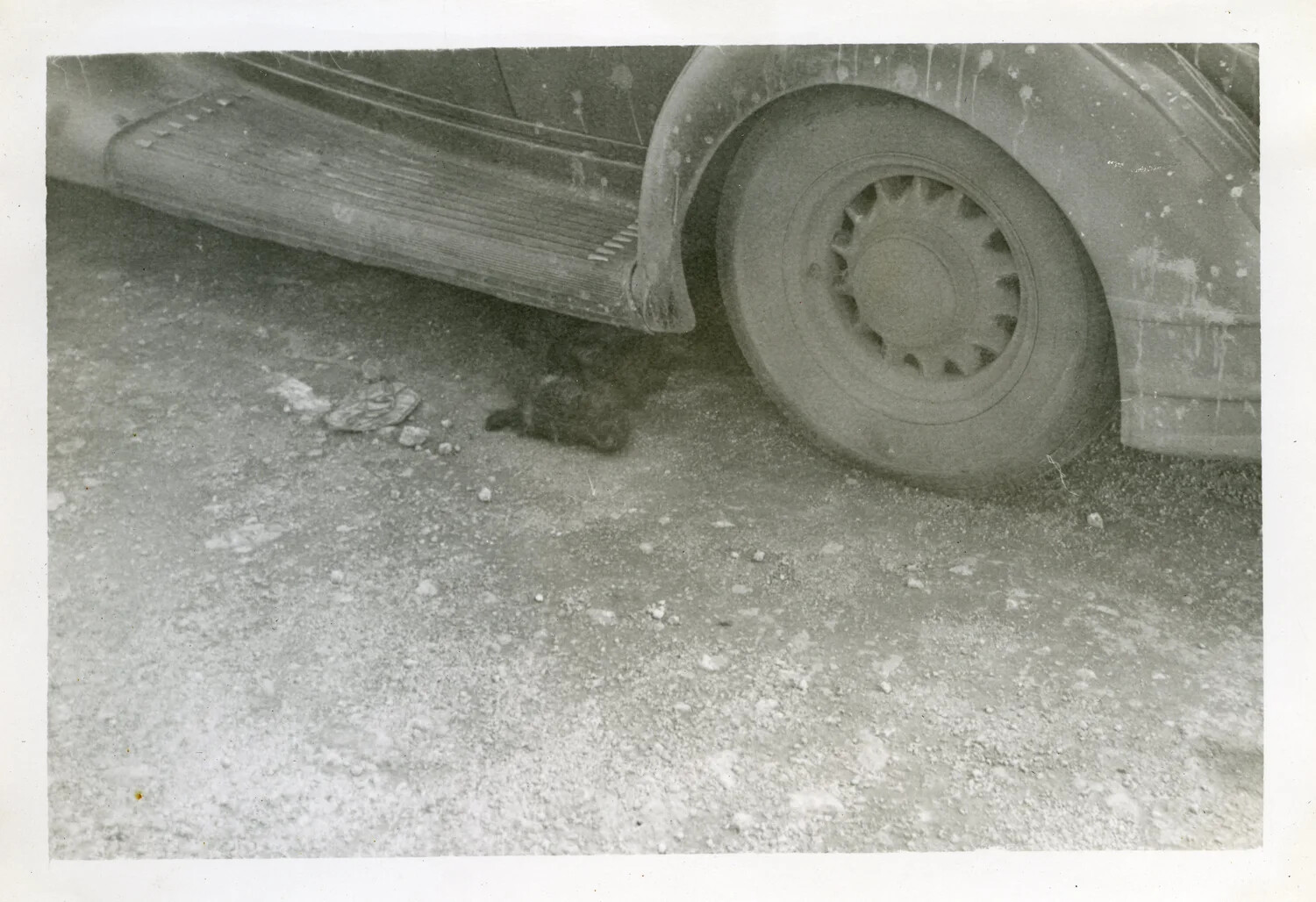 Close-Up of Automobile Fender and Wheel with Small Animal in Shade, VR-6 Album, Agana, Guam