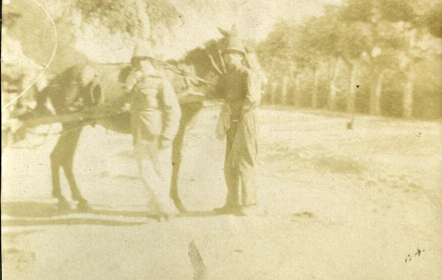 French Military Personnel with Loaded Pack Animal on Tree-Lined Road, WWI French Pilot Album
