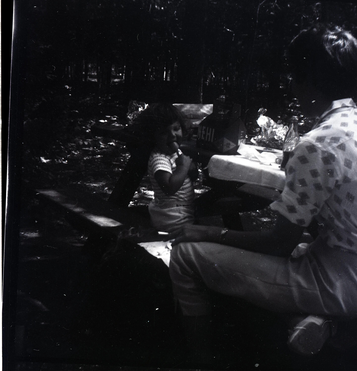 Family Picnic Scene in a Wooded Campground, Glenn Haidet Photo Collection