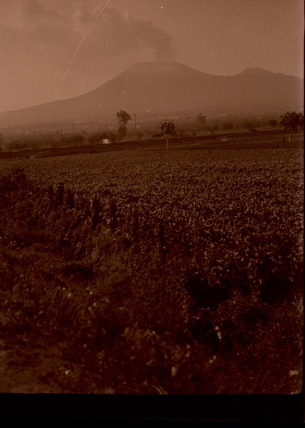 Smoking Volcano (Possibly Mount Vesuvius) Viewed from Cultivated Fields, 1930s