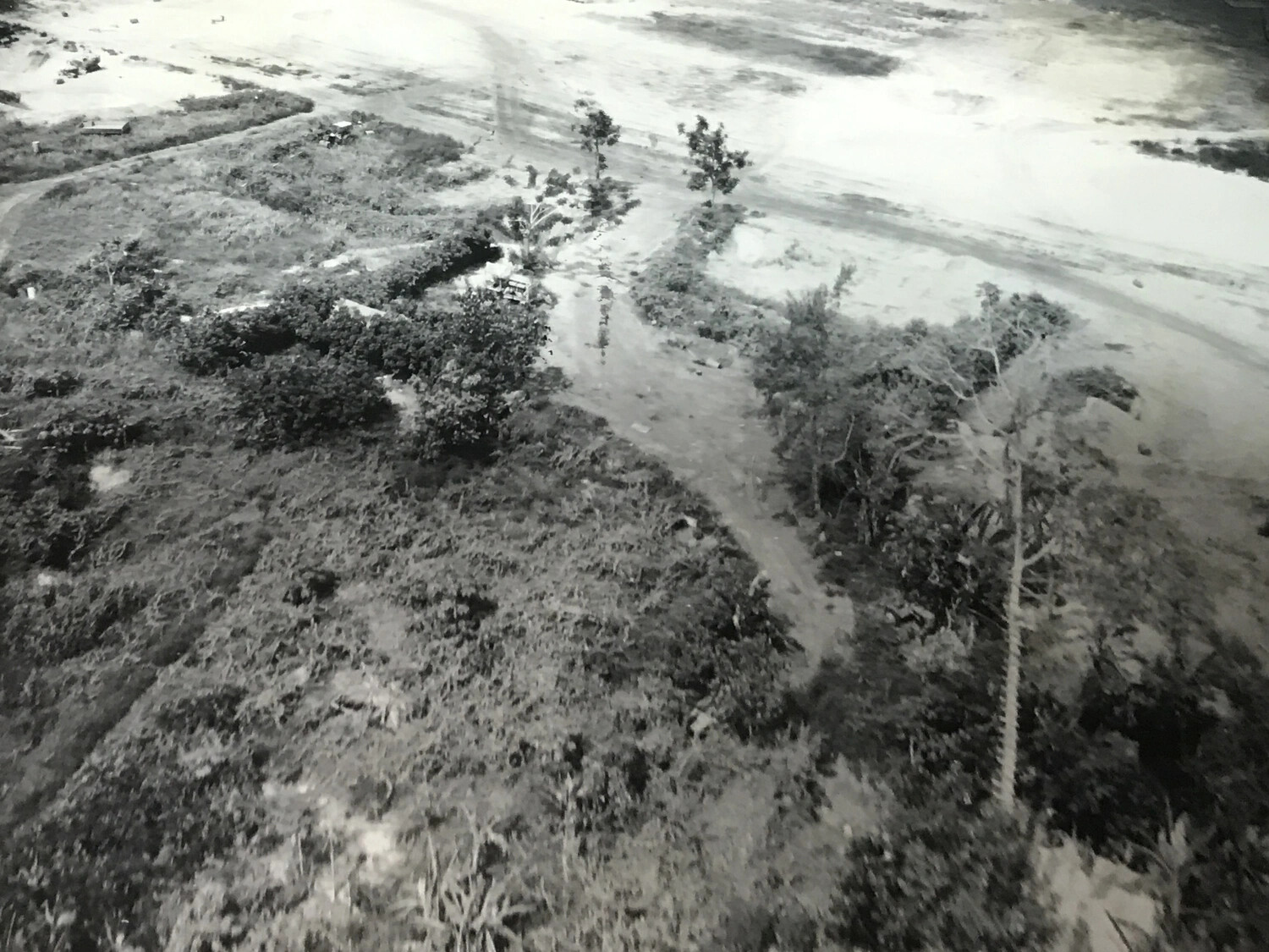 Aerial Reconnaissance Photo: Roads, Camouflaged Equipment, and Lookout Tree near Wewak, New Guinea