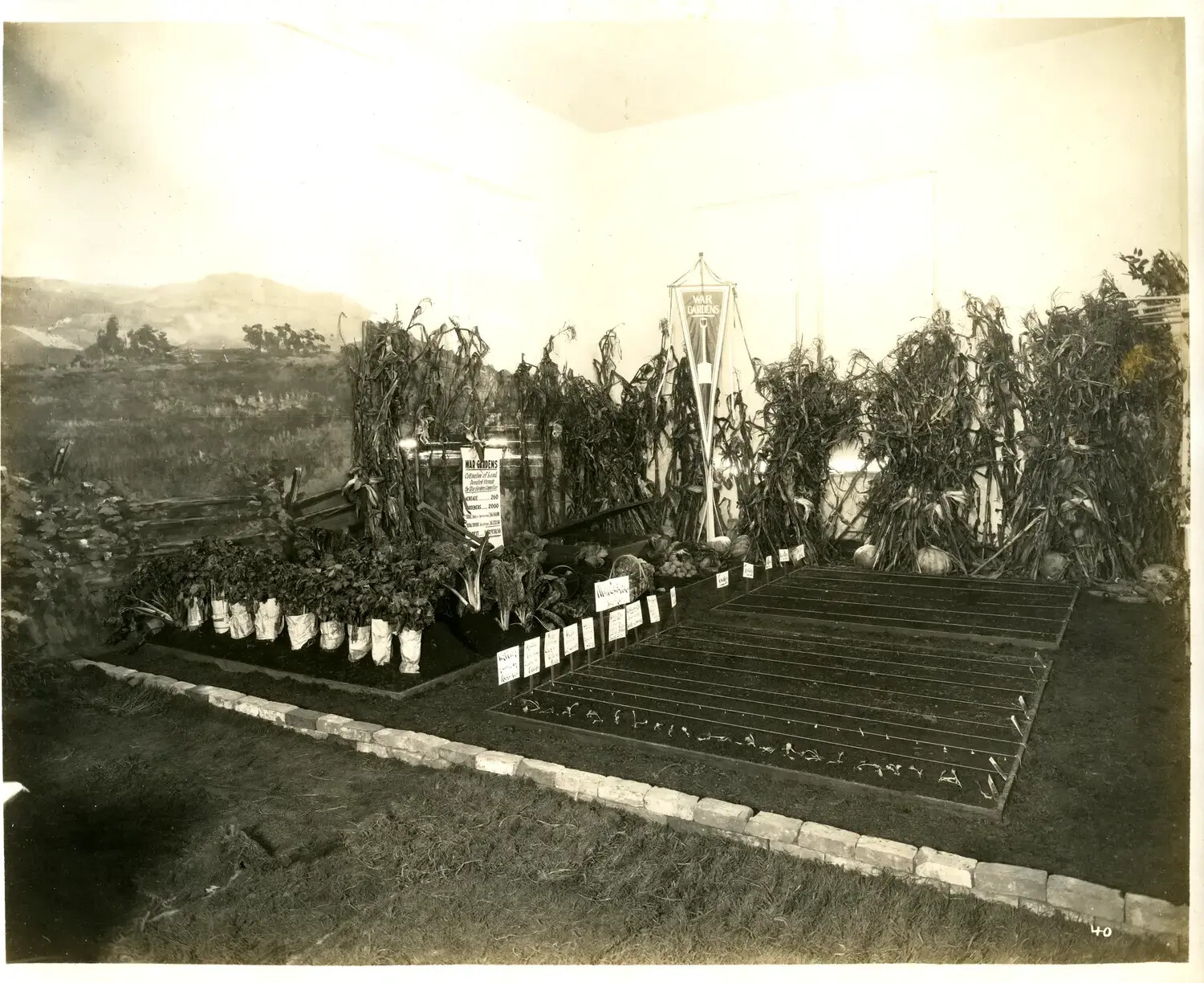 War Gardens Exhibit, Woman's Committee Council of National Defense, Cincinnati, Ohio, 1918
