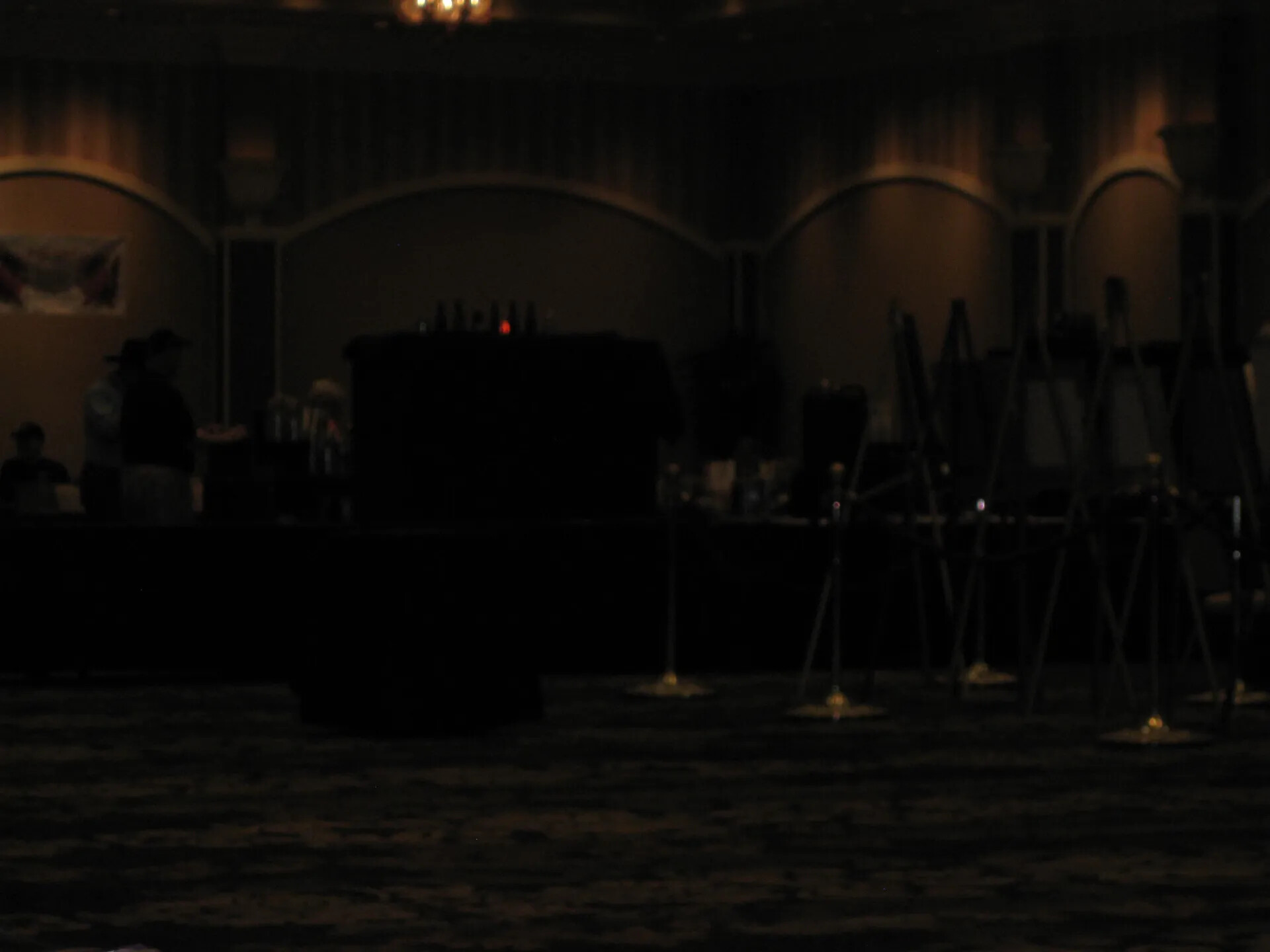 Darkened Ballroom with Display Easels and Stanchions, SOAR XXXVII, Las Vegas, 2013 (spoiled, underexposed and blurred)