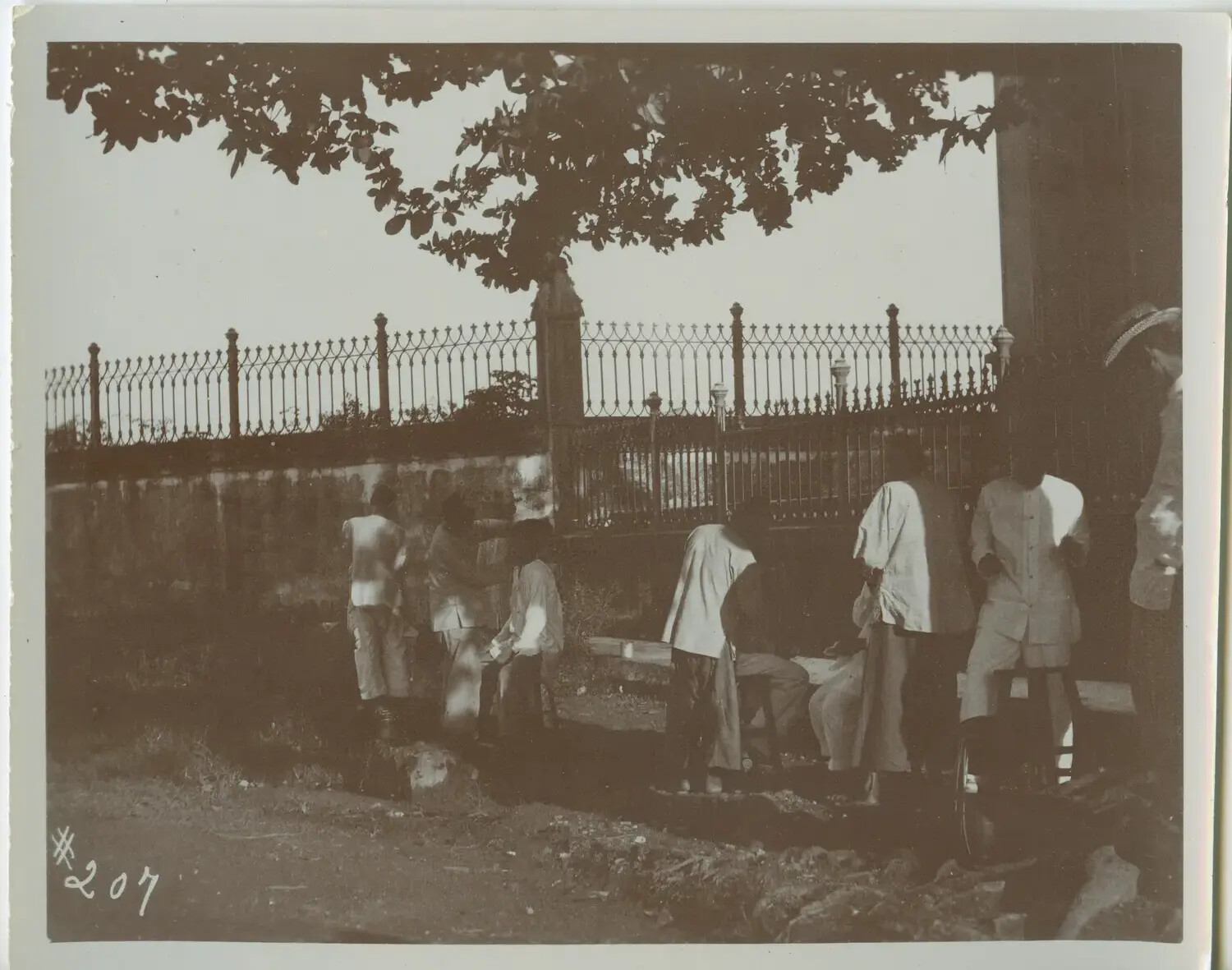 Filipino Men Gathered Beneath a Tree Beside Ornamental Iron Fence, Philippines, Early 1900s