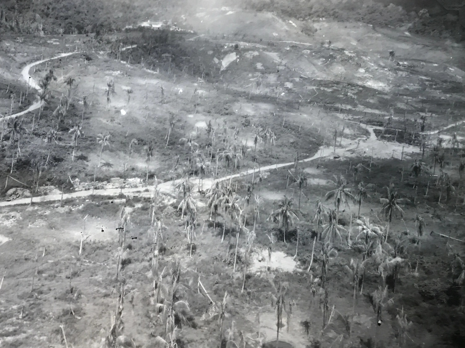 Low-Altitude Aerial View of Brandy Plantation Terrain, Wewak Area, New Guinea