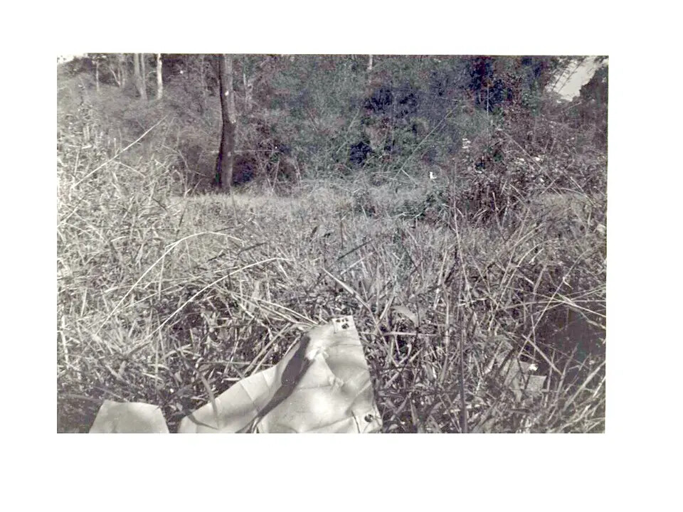 Aircraft Debris in Brush, Vietnam — Don Fulton / Don Engebretsen "1st Flight" Collection