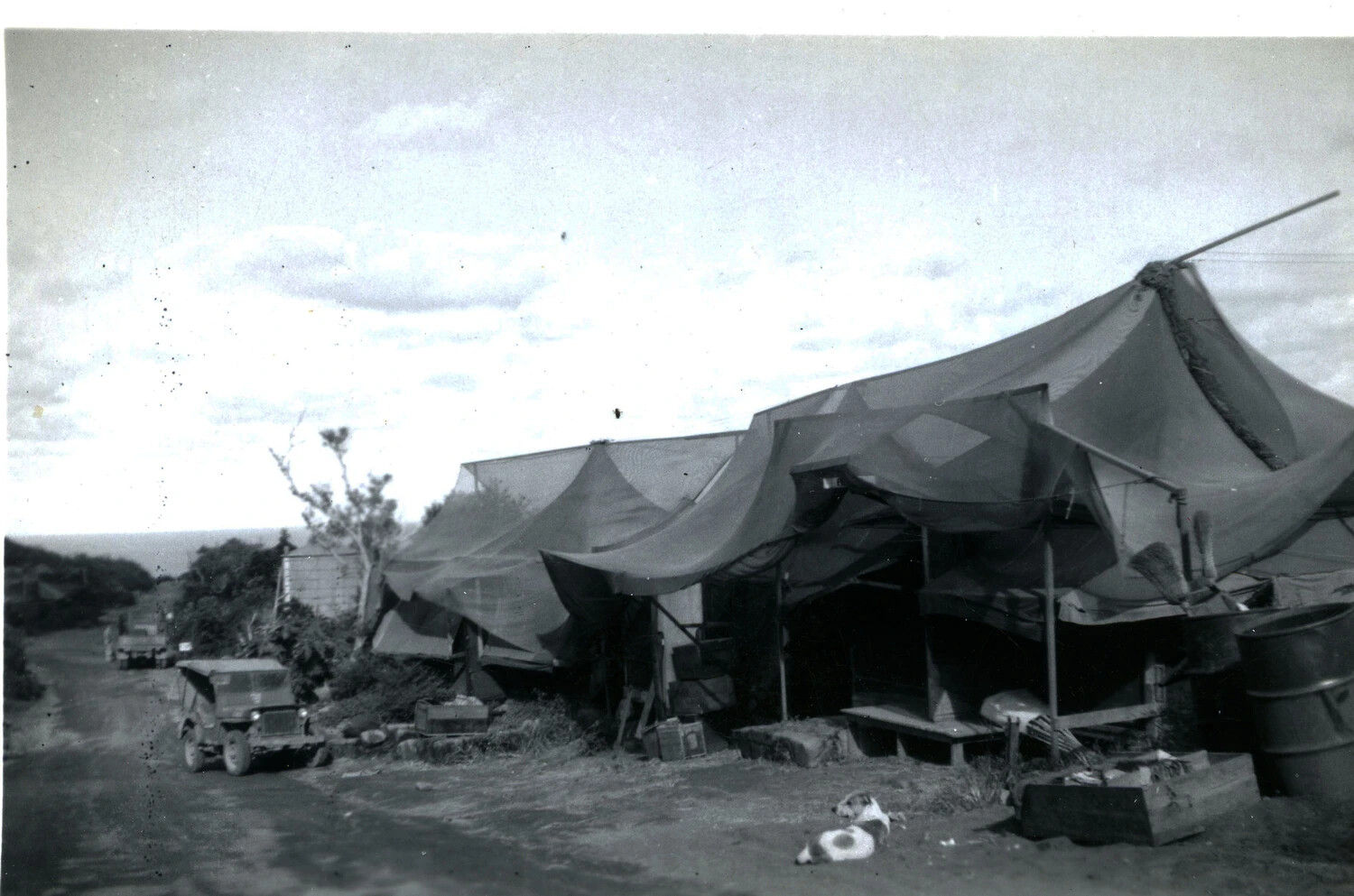 Camouflage-Netted Tent Encampment Overlooking the Ocean, Pacific Theater, WWII