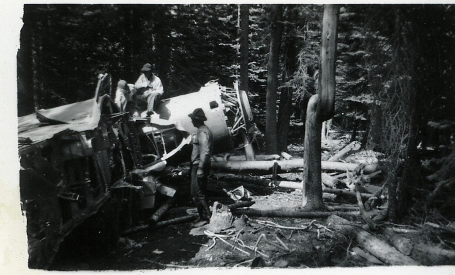 Close View of B-17 Flying Fortress Crash Site Wreckage in Forest