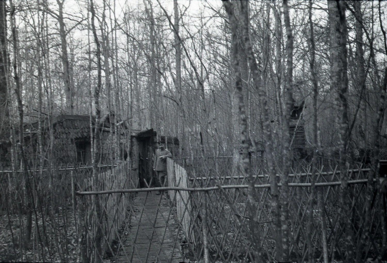 German Soldier at Timber Dugout Entrance, Camouflaged Forest Camp, WWI
