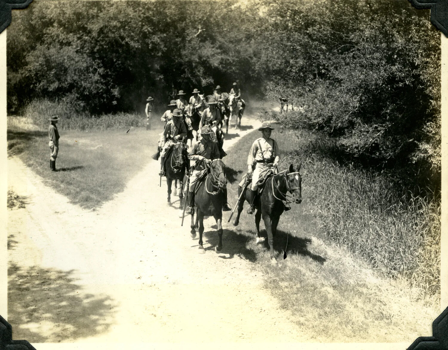 U.S. Cavalry Column on a Wooded Trail, Interwar Era