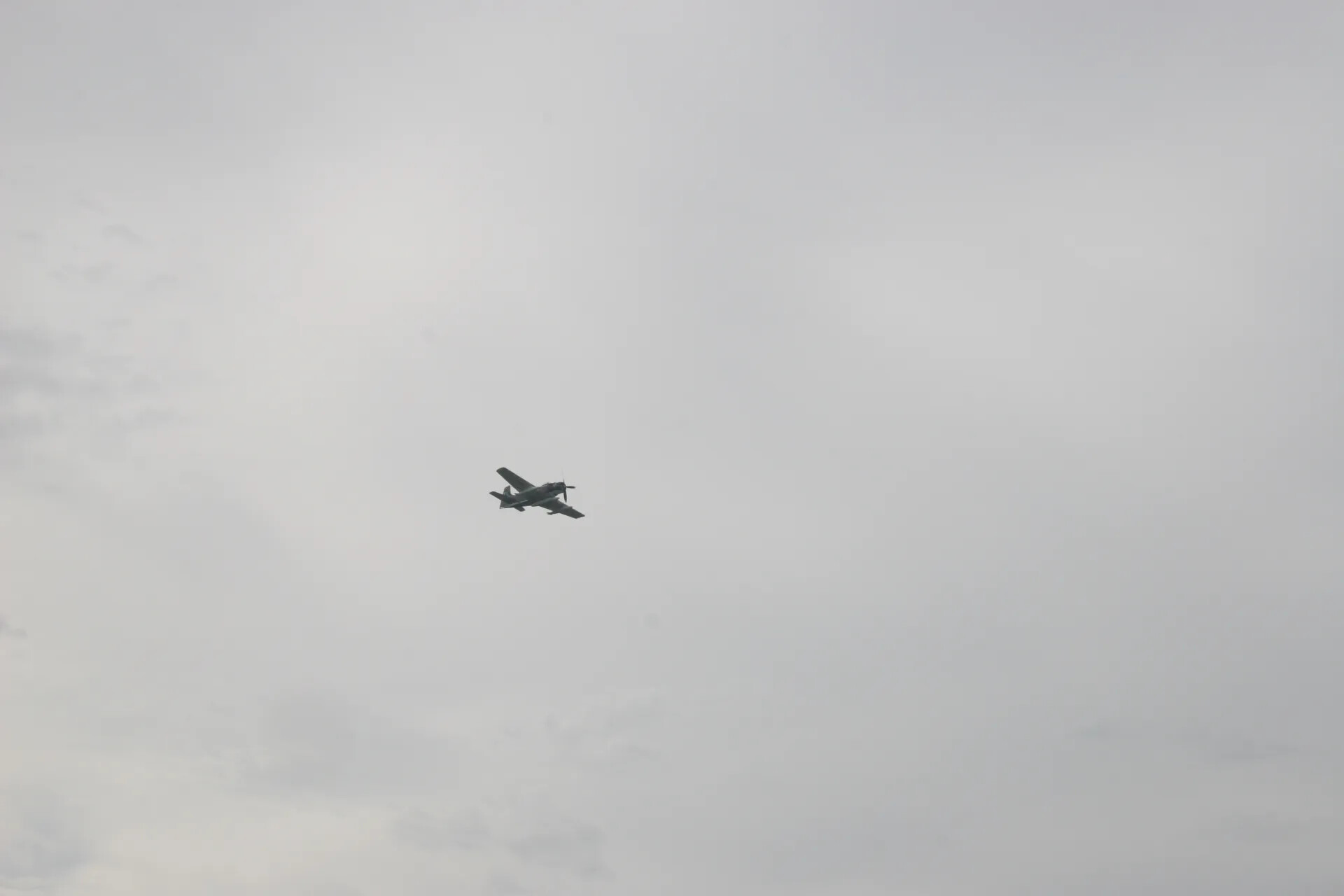 A-1 Skyraider in Flight, 2016 Tailwind Event