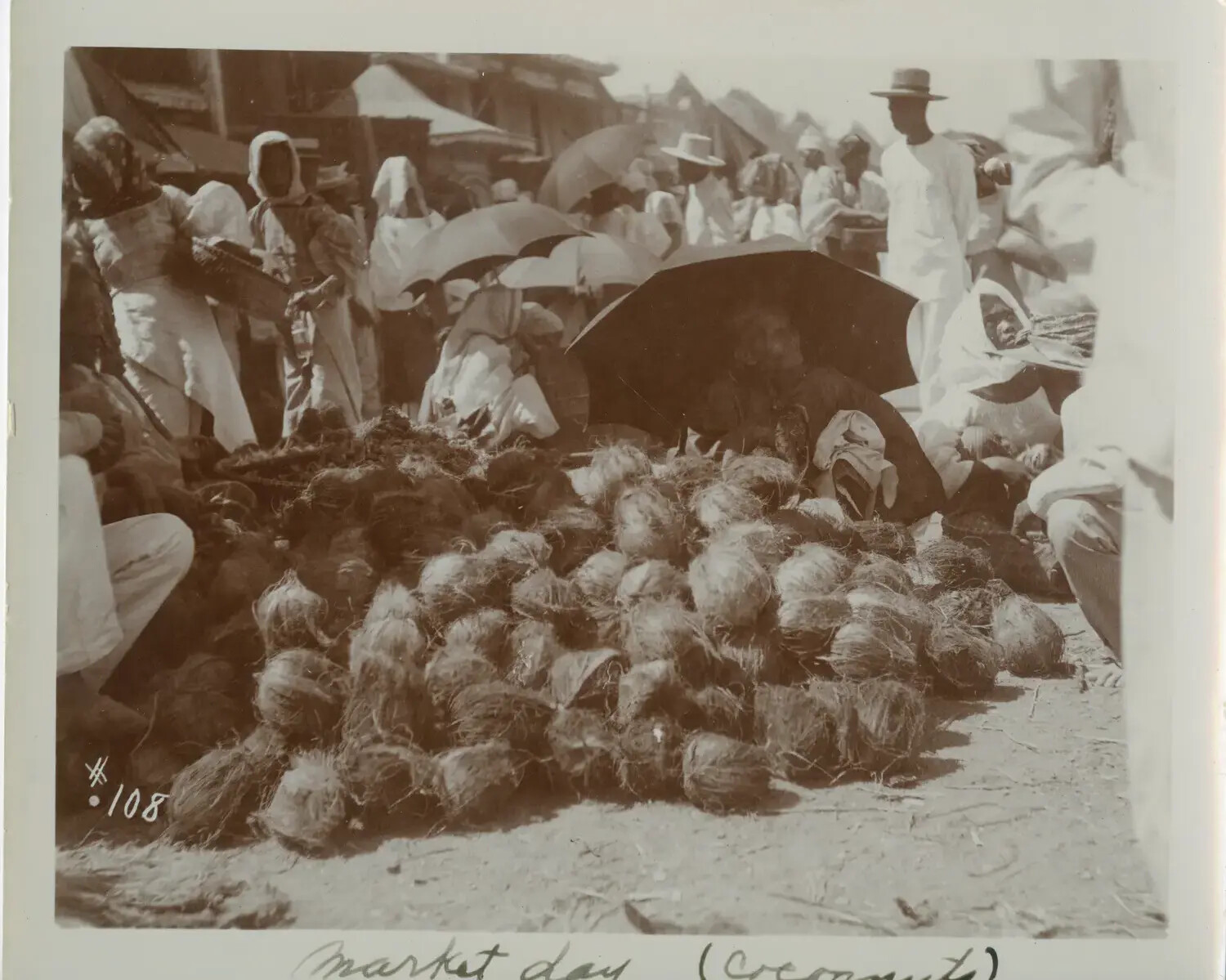 Filipino Market Day Scene with Coconut Vendors, Philippines, c. 1890s-1900s
