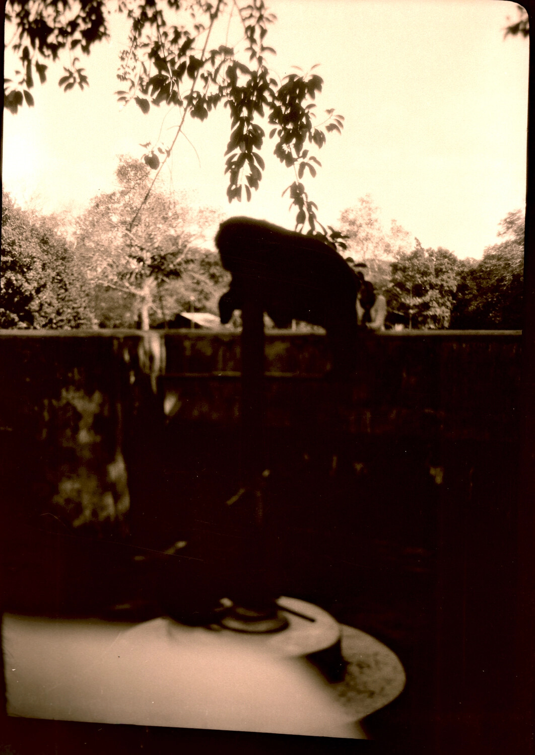 Stone Guardian Lion on Garden Wall, China, 1930s